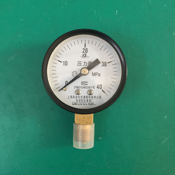 1.6 MPa标准压力表